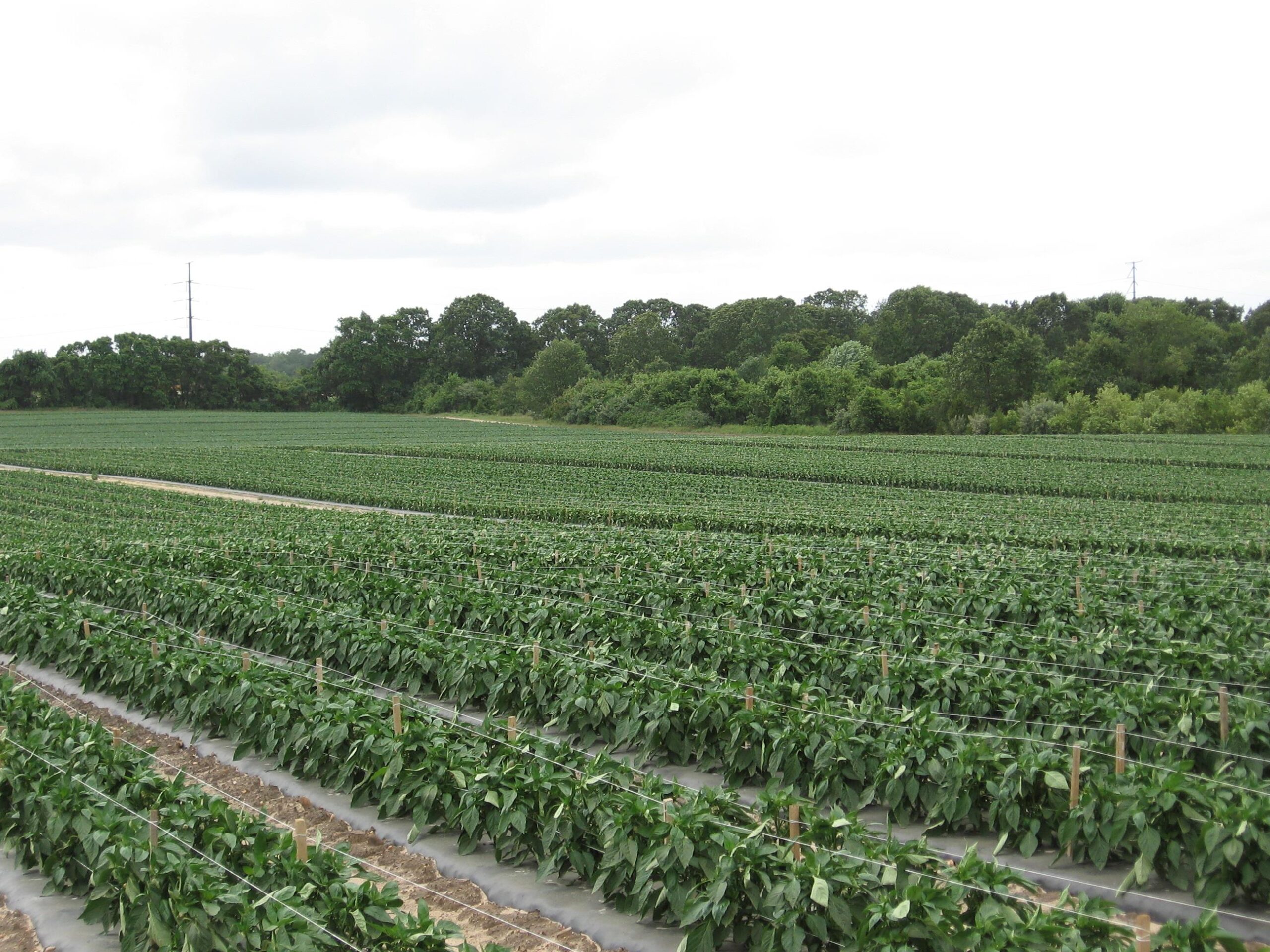 preserving farmlands in the State of New Jersey
