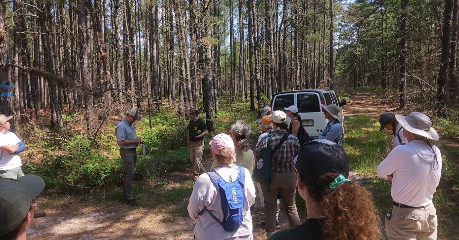 Walk in the Woods new jersey