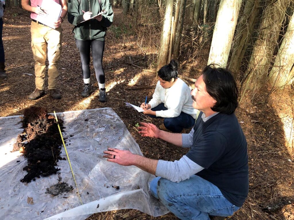 modern forest management new jersey