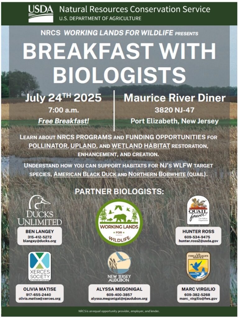 cape atlantic soil district