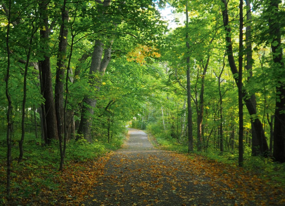 Educational Nature Trail new jersey