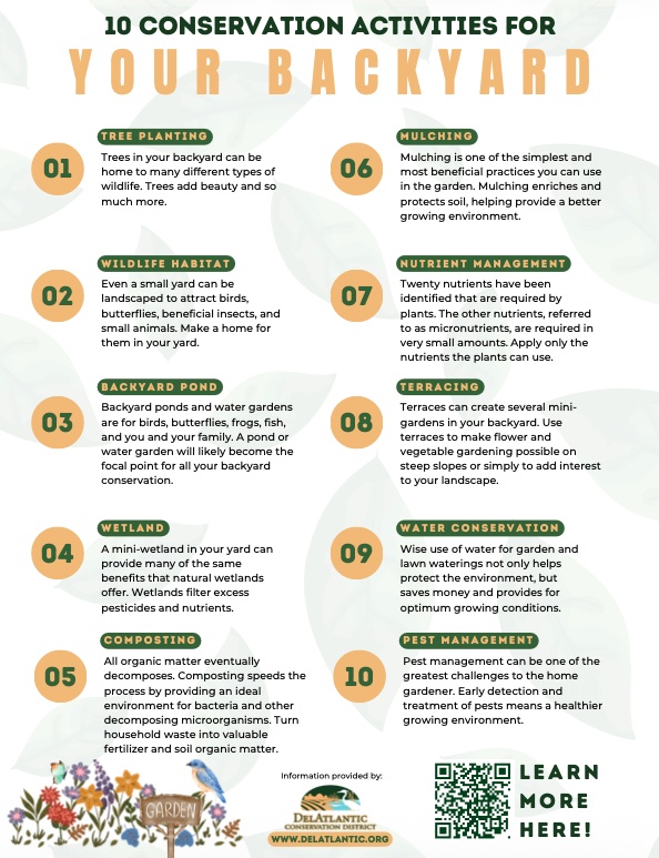 DelAtlantic Backyard Conservation Activities handout thumbnail