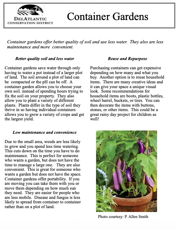 DelAtlantic Container Gardens downloadable handout thumbnail