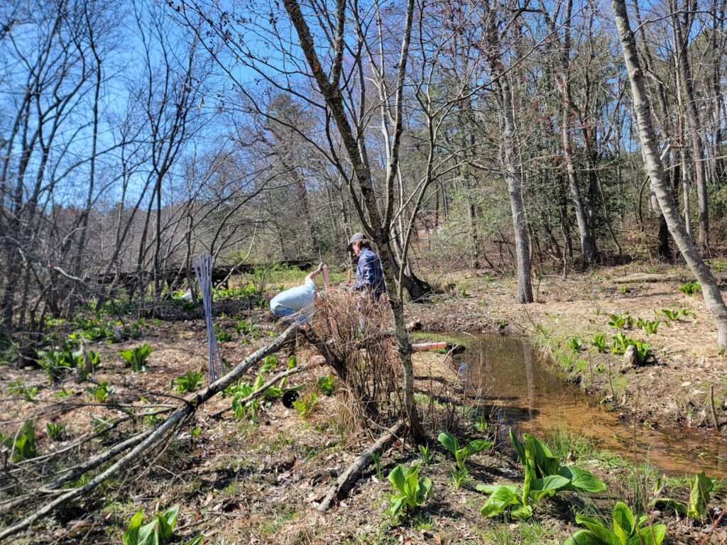 delatlantic team at masons run restoration project south nj