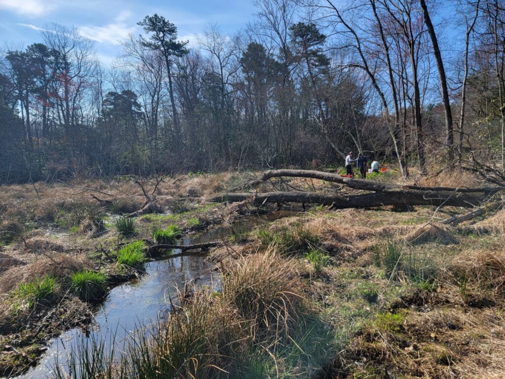 delatlantic team at masons run restoration project south nj