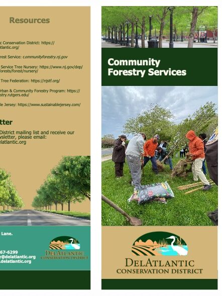 DelAtlantic Forestry Brochure thumbnail