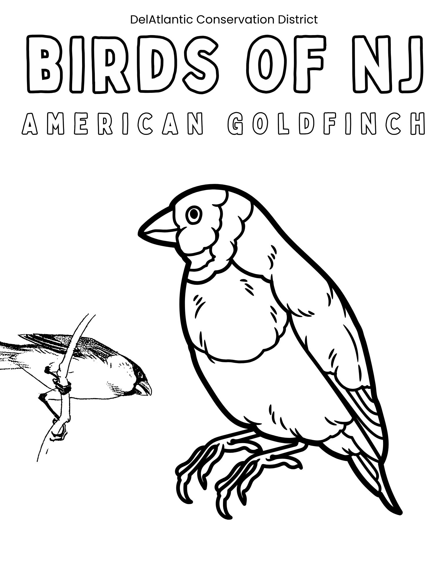 Goldfinch Coloring Page
