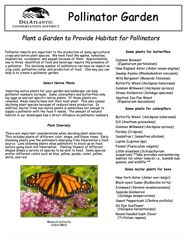 DelAtlantic pollinator garden downloadable handout thumbnail