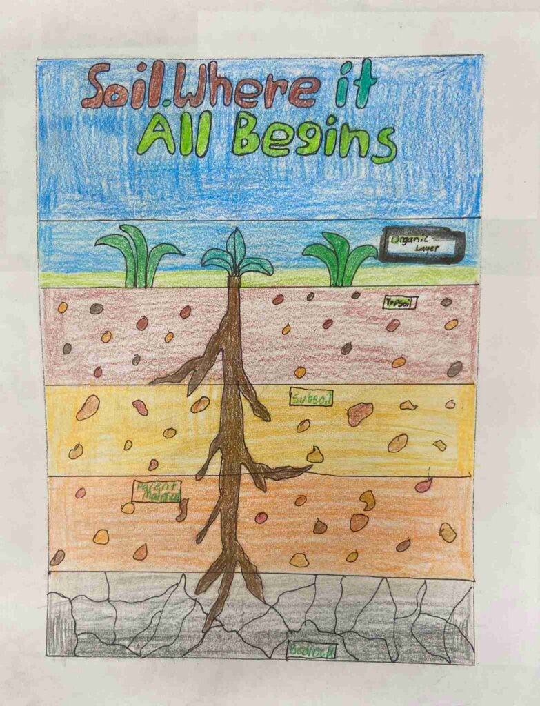 Grades 4-6 2nd place Winner - Daniela